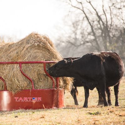 Image showing  8 ft. Titan Bull Hay Feeder