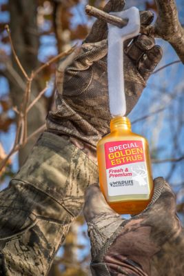 Image showing  1 oz. Special Golden Estrus Deer Attractant