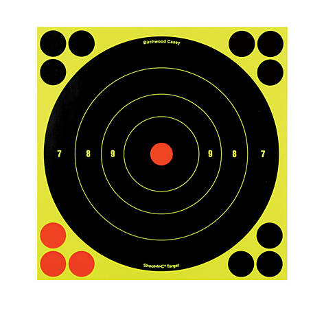 Birchwood Casey 8 in. Shoot-N-C Bullseye Targets, 6-Pack of Targets with 72 Pasters