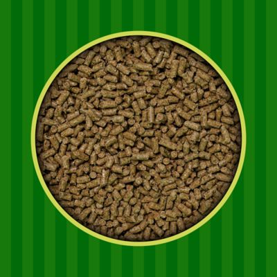 Image showing  Classic Diet Pelleted Corn-Free Pet Rabbit Food, 10 lb. Bag