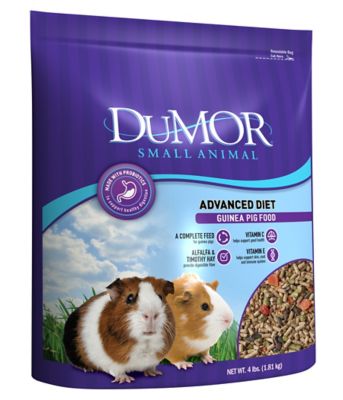 DuMOR Advanced Diet Guinea Pig Food, 4 lb.