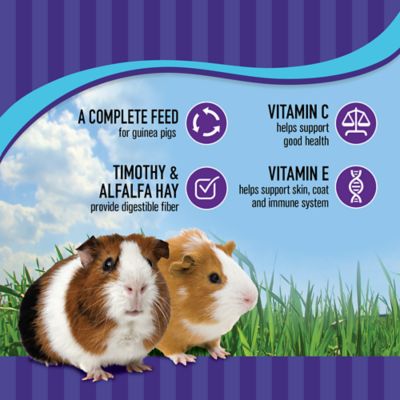 Image showing  Advanced Diet Pelleted Guinea Pig Food, 4 lb. Bag