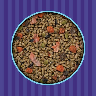 Image showing  Advanced Diet Pelleted Guinea Pig Food, 4 lb. Bag