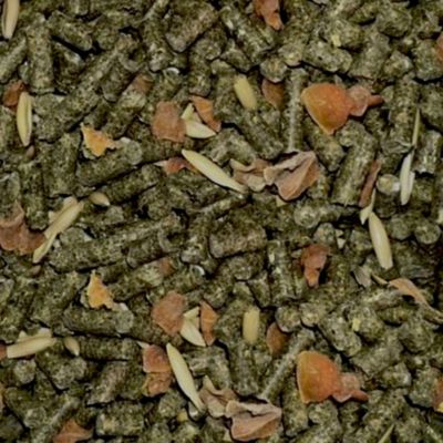 Image showing  Advanced Diet Pelleted Chinchilla Food, 2 lb. Bag