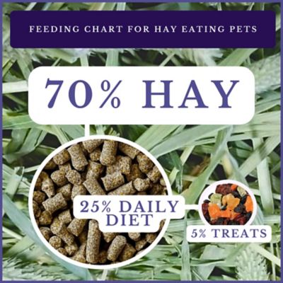 Image showing  Advanced Diet Pelleted Chinchilla Food, 2 lb. Bag