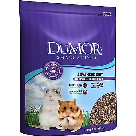 Everything You Need to Know About Hamsters - Vital Pet Club - Pet