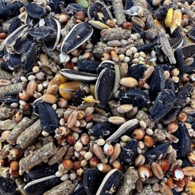 Image showing  Advanced Diet Hamster/Gerbil Food, 2 lb. Bag