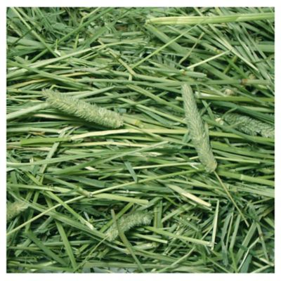 Image showing  All-Natural Small Pet Timothy Hay, 3 lb.