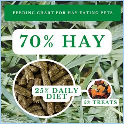 Image showing  All-Natural Small Pet Timothy Hay, 3 lb.