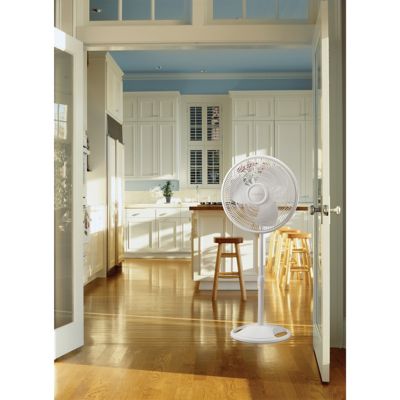 Image showing  16 in. Oscillating Stand Fan, Adjustable Tilt, White