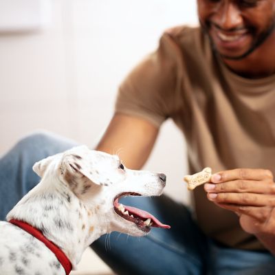 Image showing 4 th Milk-Bone Flavor Snacks Mini
