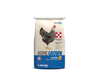 Purina Poultry Layer No Corn No Soy