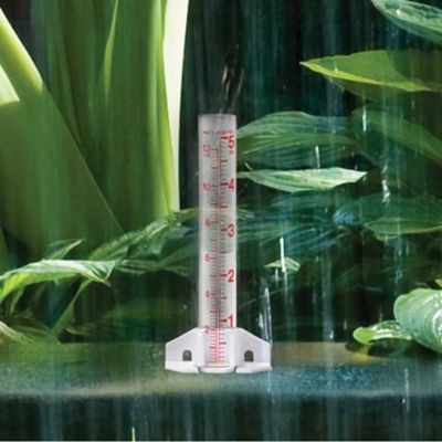 Image showing  5 in. Glass Rain Gauge