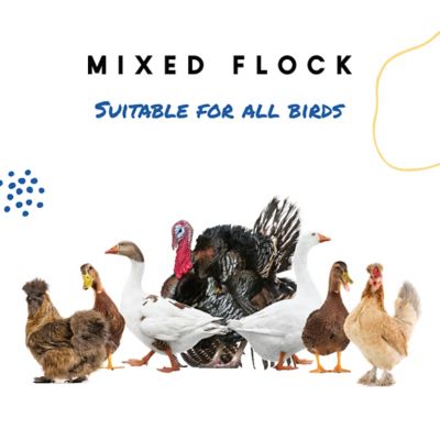 1KG Hen Flint Grit Duck Hen Poultry | Poultry Feed Supplement