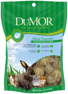 DuMOR Alfalfa Hay Cubes Small Pet Treats, 16 oz.