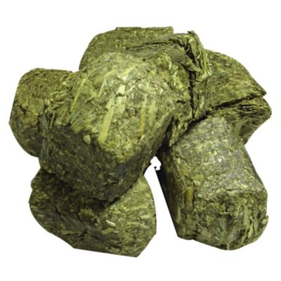 Image showing  Alfalfa Hay Cubes Small Pet Treats, 16 oz.