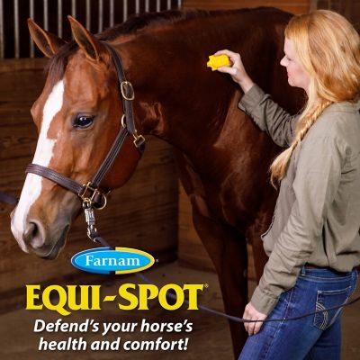 Image showing  Equi-Spot Spot-On Insecticide for Horses