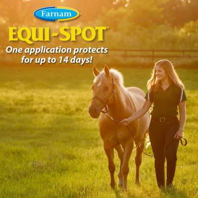 Image showing  Equi-Spot Spot-On Insecticide for Horses