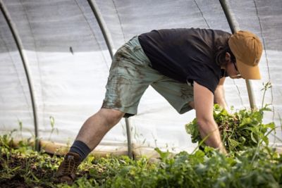 Image showing  Men's Solid Odessa Cotton Canvas Baseball Cap