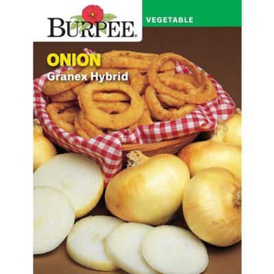 Burpee Onion Granex Hybrid