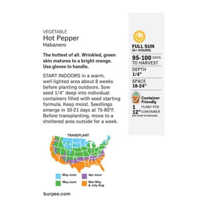 Image showing  Hot Habanero Pepper Seeds