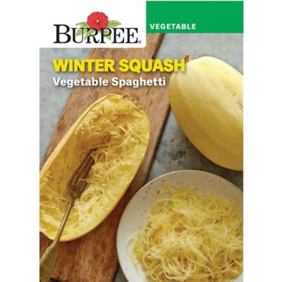 Burpee Squash Winter Vegetable Spaghetti