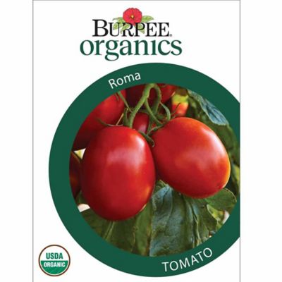 Burpee Org-tomato Roma