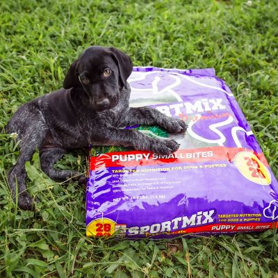 Image showing  Small Bites Puppy Chicken Recipe Dry Dog Food, 16.5 lb. Bag