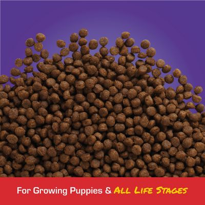 Image showing  Small Bites Puppy Chicken Recipe Dry Dog Food, 16.5 lb. Bag