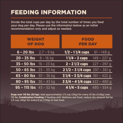 Image showing 6 th Wellness CORE Adult High-Protein Grain-Free Original Turkey and Chicken Recipe Dry Dog food