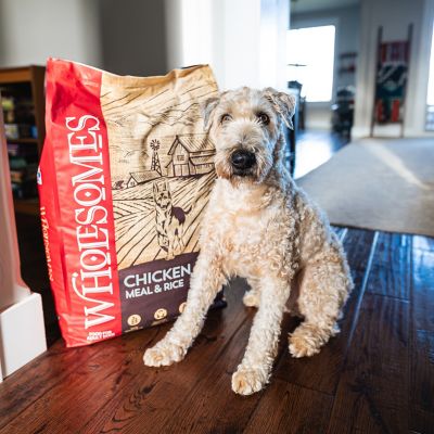 Image showing  Adult Chicken Meal and Rice Recipe Dry Dog Food, 40 lb. Bag