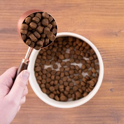 Image showing  Adult Chicken Meal and Rice Recipe Dry Dog Food, 40 lb. Bag