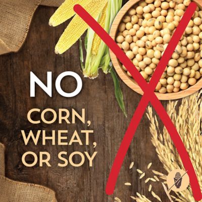 Image showing 6 th Wholesomes Adult Chicken Meal and Rice Recipe Dry Dog Food, 40 lb. Bag