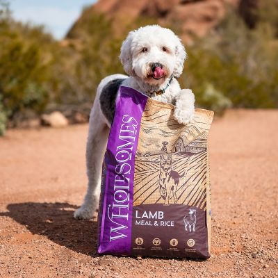 Image showing  Adult Lamb Meal and Rice Recipe Dry Dog Food, 40 lb. Bag