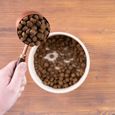 Image showing  Adult Lamb Meal and Rice Recipe Dry Dog Food, 40 lb. Bag