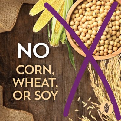 Image showing 6 th Wholesomes Adult Lamb Meal and Rice Recipe Dry Dog Food, 40 lb. Bag