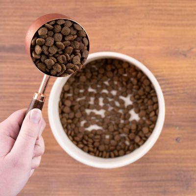 Image showing  Adult Whitefish Meal and Rice Recipe Dry Dog Food, 40 lb. Bag