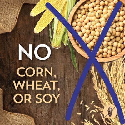 Image showing 6 th Wholesomes Adult Whitefish Meal and Rice Recipe Dry Dog Food, 40 lb. Bag