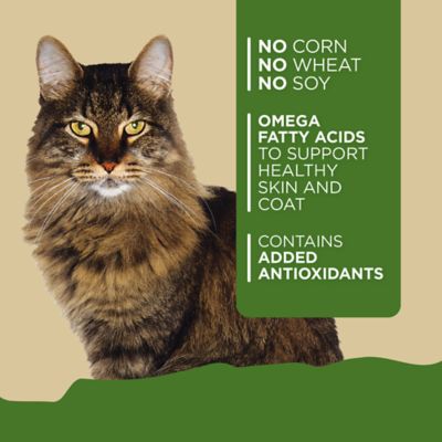 Image showing  Adult Chicken and Beef Recipe Wet Cat Food, 5.5 oz.