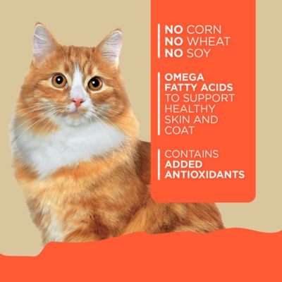 Image showing  Adult Turkey and Salmon Recipe Wet Cat Food, 5.5 oz.