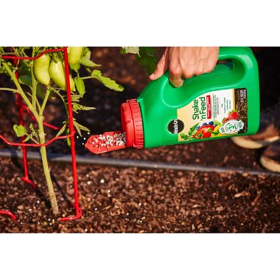 Image showing 5 th Miracle-Gro 4.5 lb. Shake 'N Feed Tomato Fruit and Vegetable Plant Food