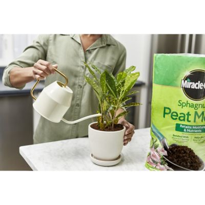 Image showing 6 th Miracle-Gro 8 qt. Sphagnum Peat Moss