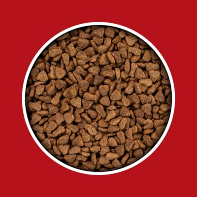 Image showing  Multi-Cat Fish Flavor Dry Cat Food, 44 lb. Bag