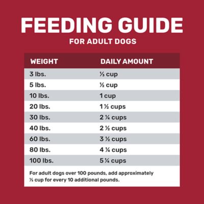 Image showing 5 th 4health Grain Free Adult Beef and Potato Formula Dry Dog Food