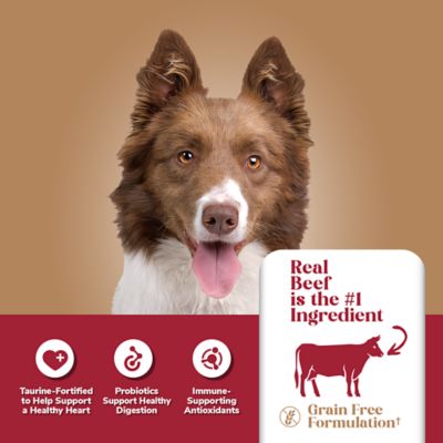 Image showing  Adult Beef and Potato Formula Dry Dog Food