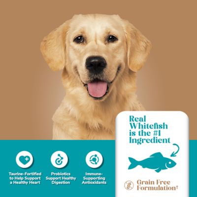 Image showing  Adult Whitefish and Potato Formula Dry Dog Food