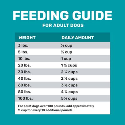 Image showing 5 th 4health Grain Free Adult Whitefish and Potato Formula Dry Dog Food