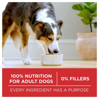 Image showing  SmartBlend Adult Natural Lamb and Rice Formula Dry Dog Food