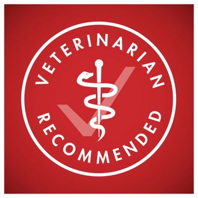 Image showing 7 th Purina ONE SmartBlend Adult Natural Lamb and Rice Formula Dry Dog Food