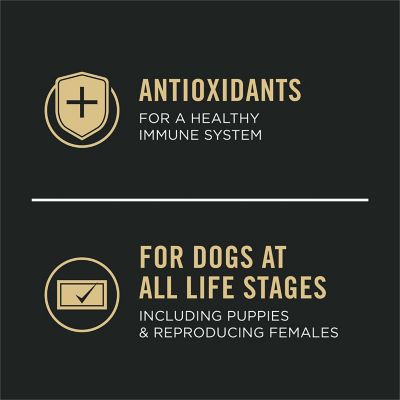 Image showing 6 th Purina Pro Plan Sport All Life Stages 26/16 Active Chicken and Rice Formula Dry Dog Food